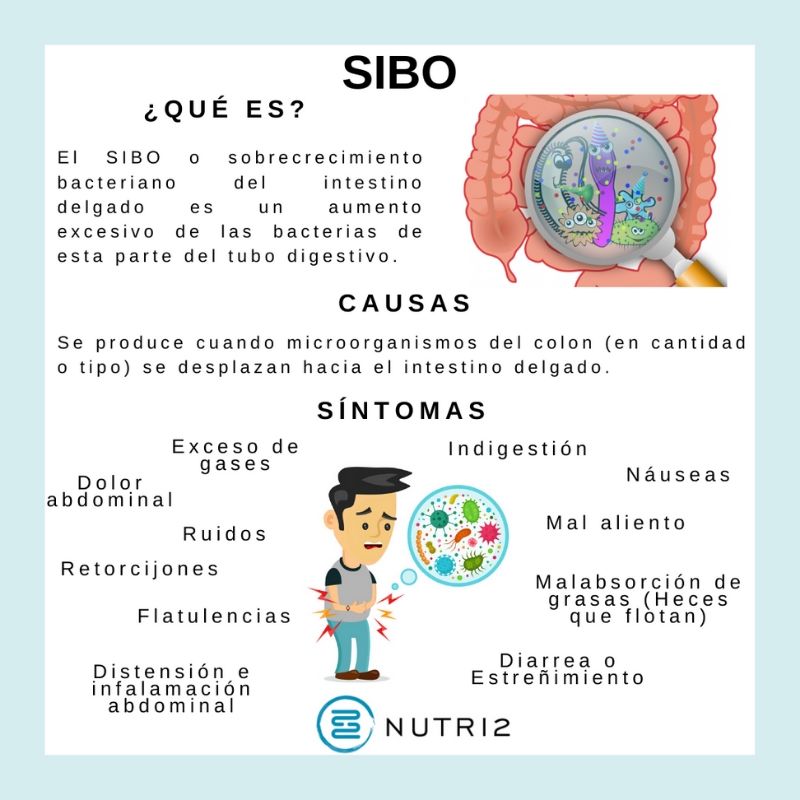 Infografía SIBO